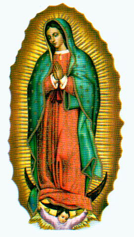virgen de guadalupe pictures. the Virgen de Guadalupe.